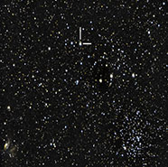 Nova Cas 2021