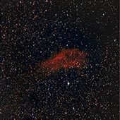 NGC1499