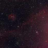 IC2177