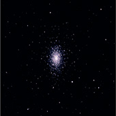 M92 Dave Walker