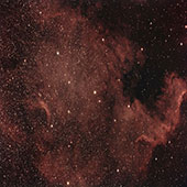 NGC 7000