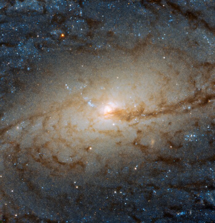 NGC3887