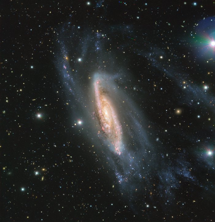 NGC3981