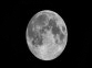 Lunar 1 Full Moon